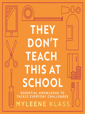 cover image of They Don't Teach This at School